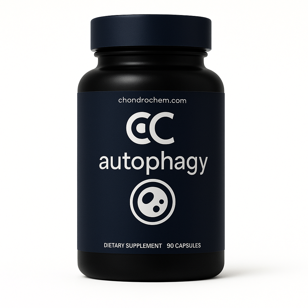 Autophagy